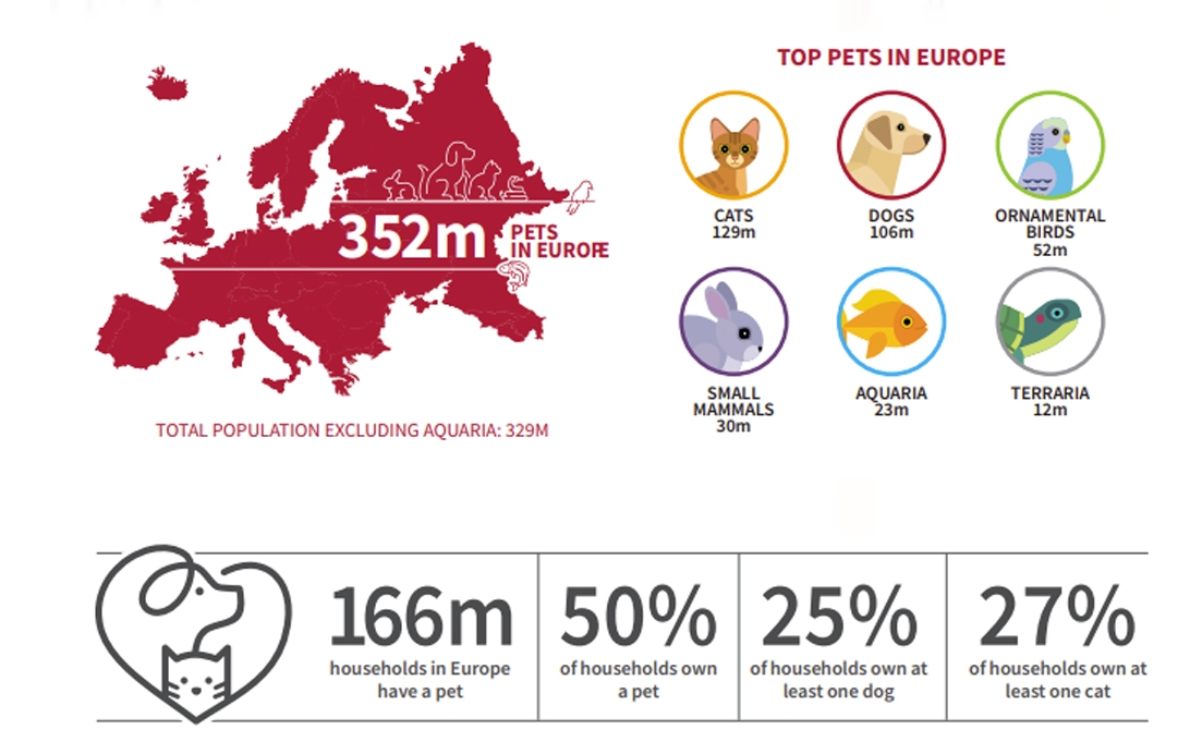 歐洲養(yǎng)狗突破1億只，哪個(gè)國(guó)家最多？歐洲寵物市場(chǎng)情報(bào)！